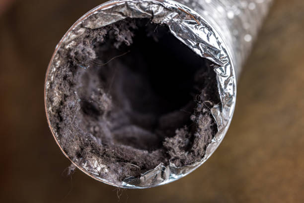 Best Air Duct Inspection  in Richmond, TX